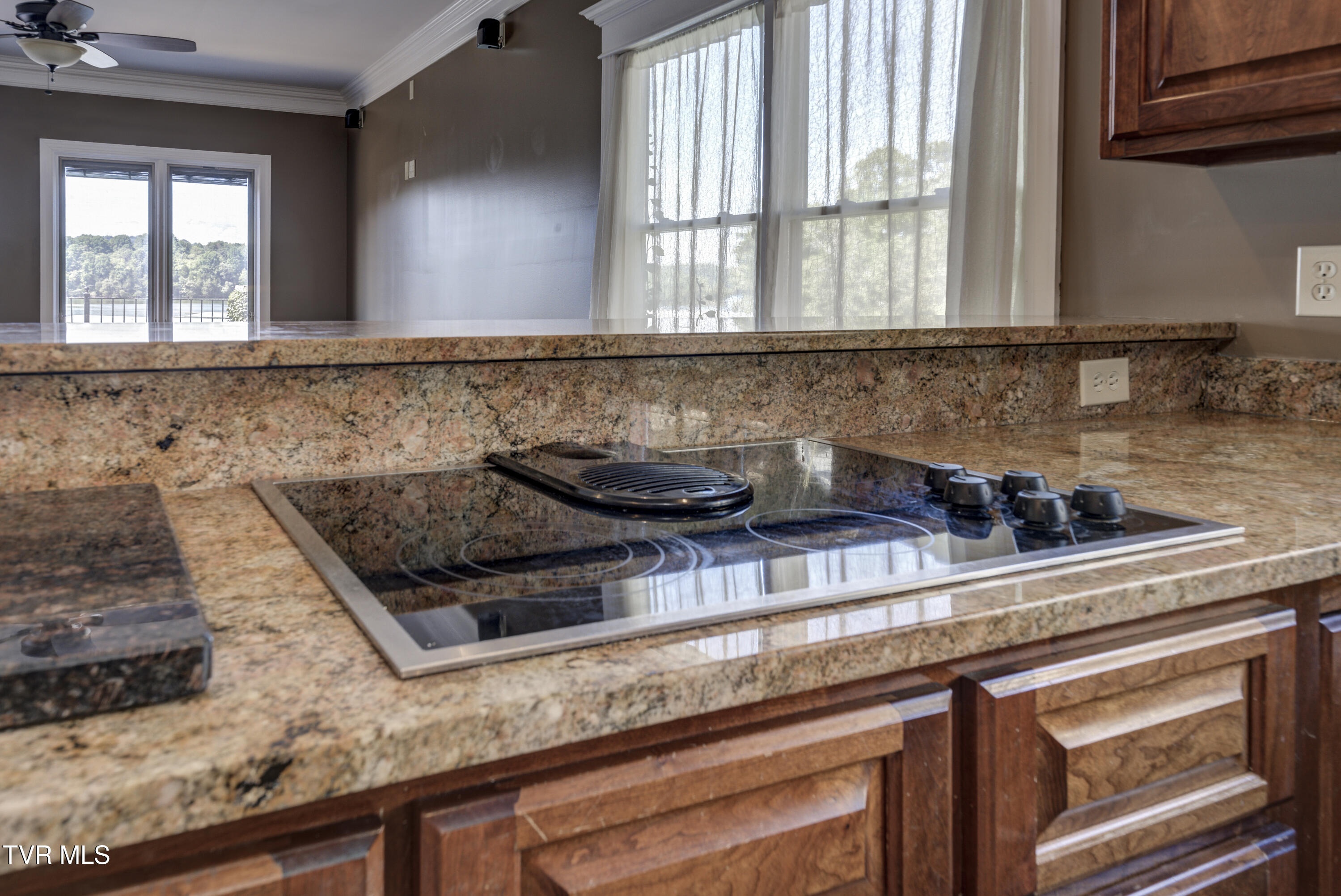 667 Rockingham Road Gray, TN 37615 - Photo 79 of 104 Rockimgham-40