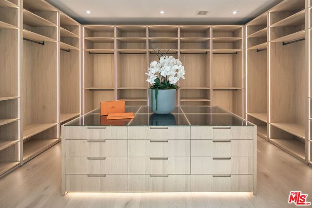 a room with a potted plant