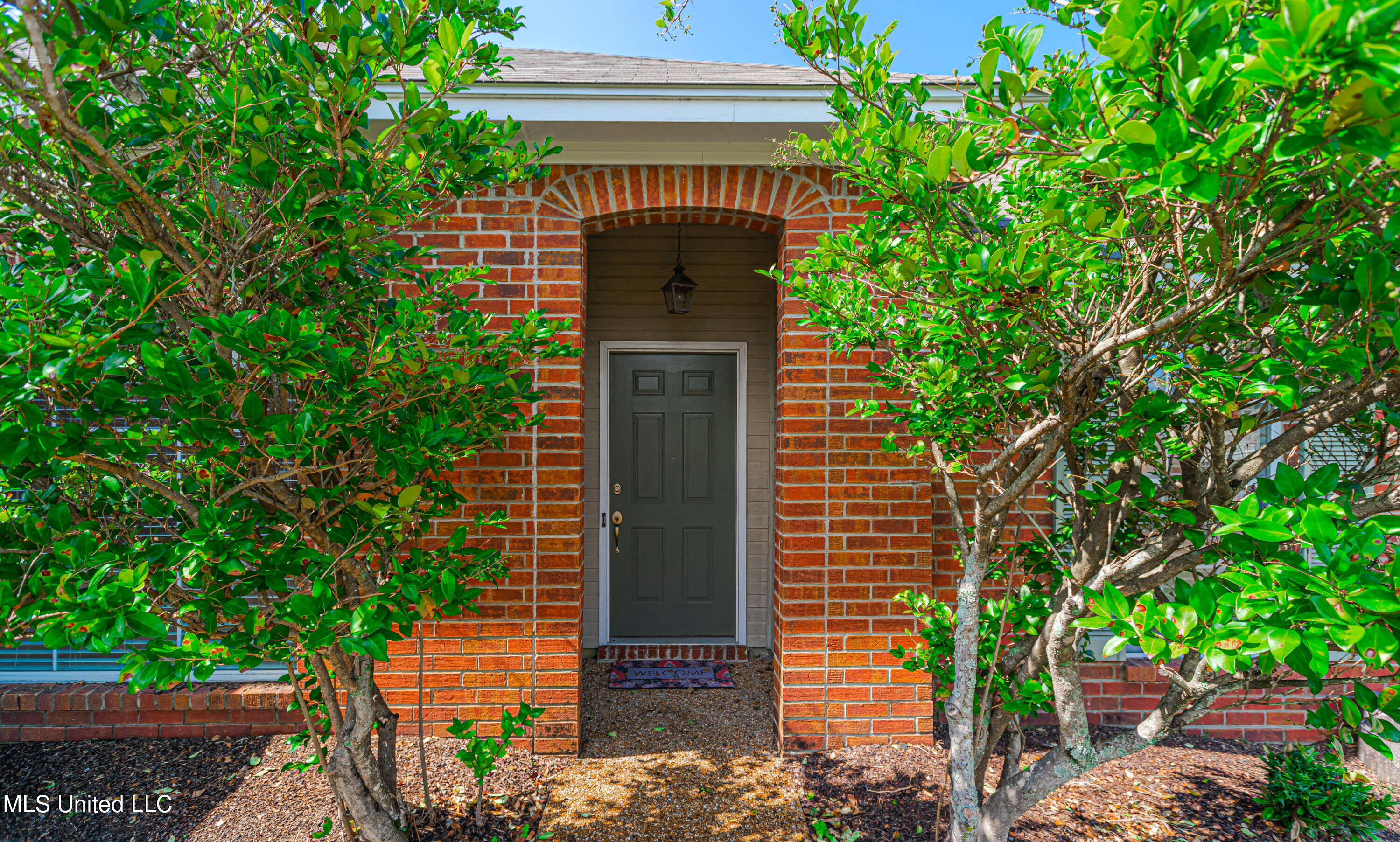 310 Kings Ridge Circle Brandon, MS 39047 - Photo 3 of 42 926A5227