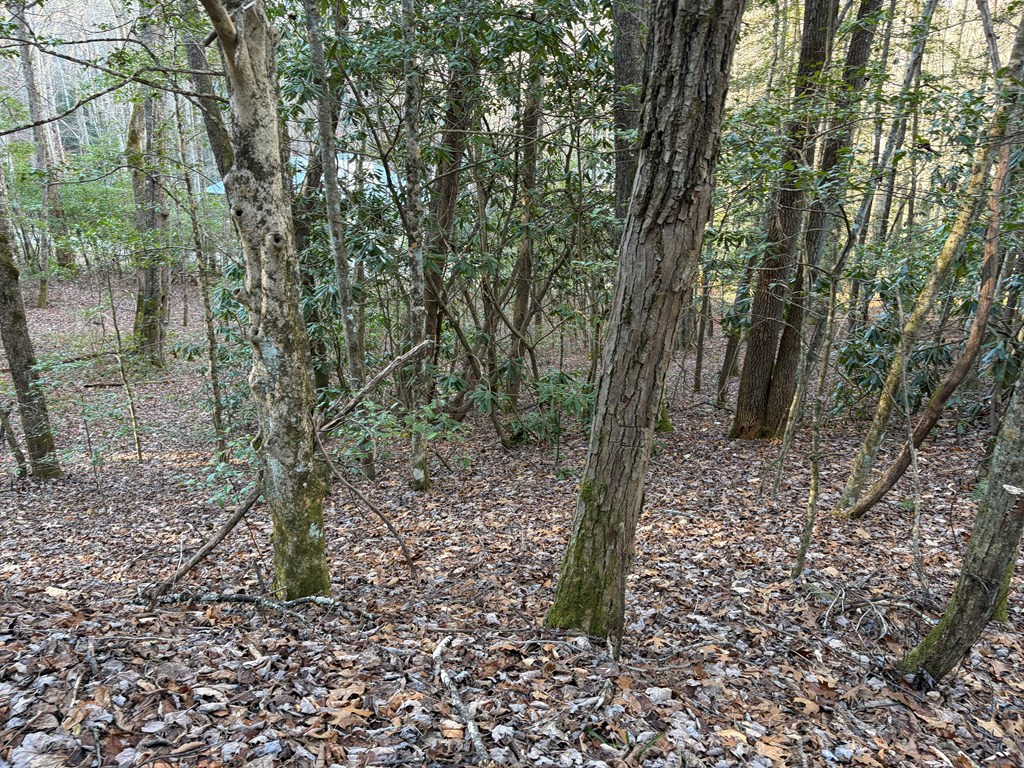 0 Old Faber Road Topton, NC 28781 - Photo 3 of 10