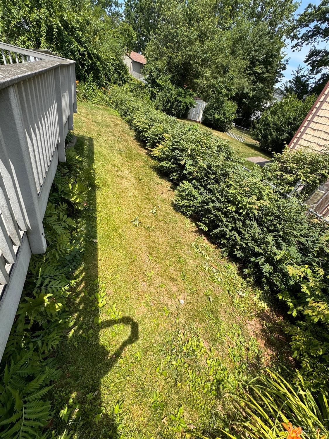 155 Jefferson Boulevard Edison, NJ 08817 - Photo 18 of 21 a view of a yard with plants
