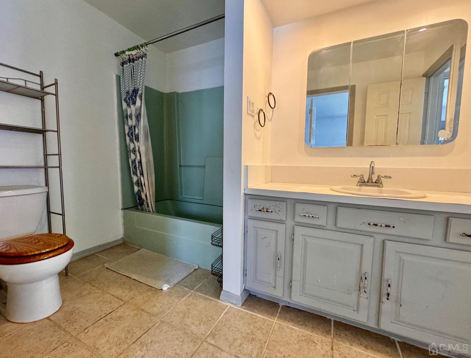 155 Jefferson Boulevard Edison, NJ 08817 - Photo 10 of 21 a bathroom with a sink a toilet and shower