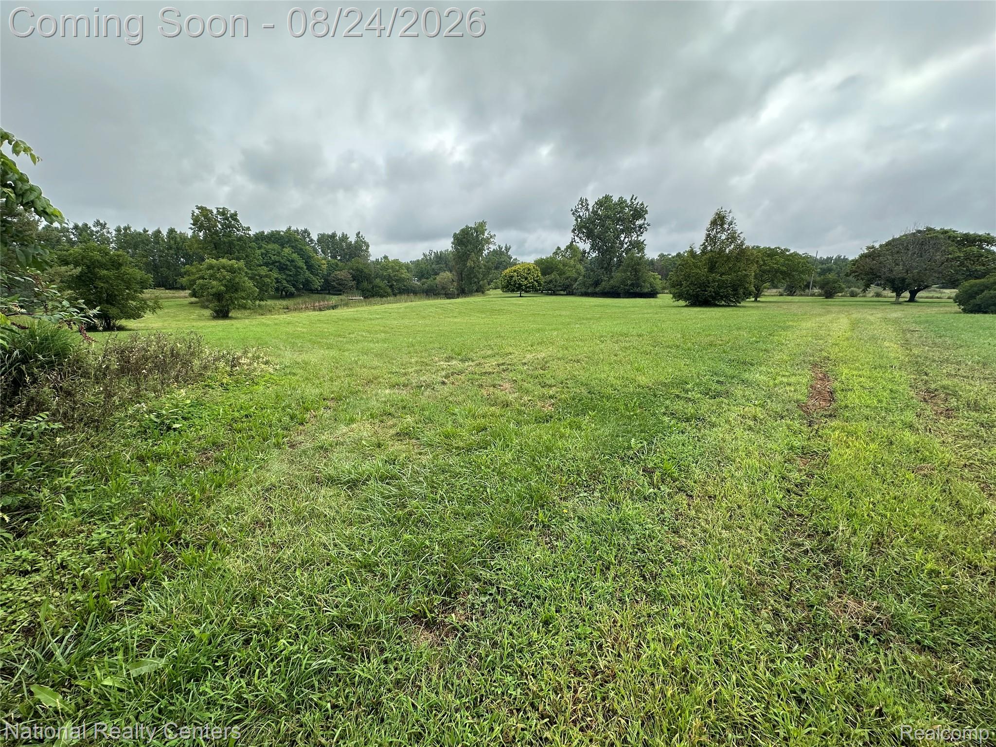 968 Tyrrell Road Bancroft, MI 48414 - Photo 13 of 24 968 tyrrell land3.jpg
