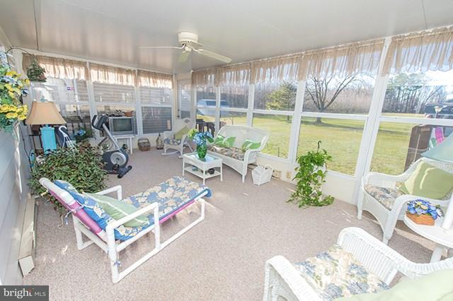 29194 Discount Land Road Laurel, DE 19956 - Photo 28 of 39 Gallery Image 28
