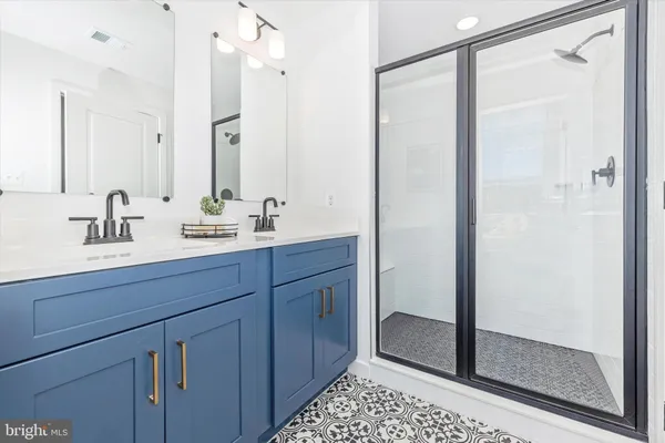 a bathroom with a double vanity sink a mirror and a shower