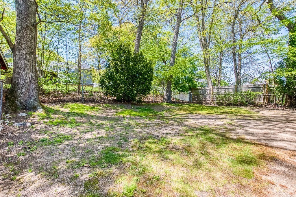 15 Locust Street Dedham, MA 02026 - Photo 32 of 38 a view of a yard with plants and large trees