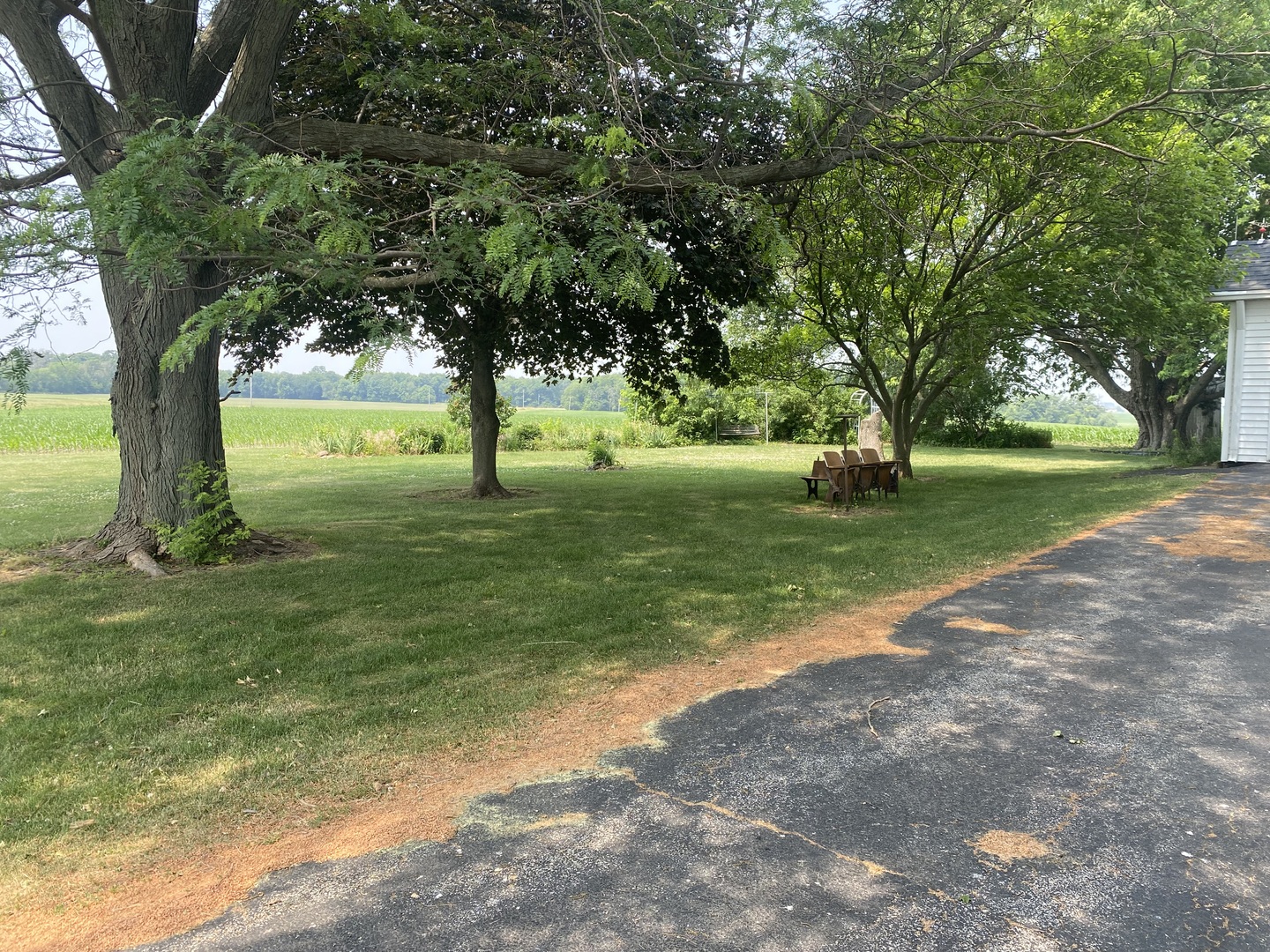 29217 Old Chicago Road La Moille, IL 61330 - Photo 28 of 34 a big yard with palm trees