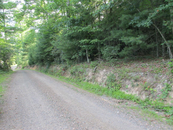 0 Higgs Road Northwest Willis, VA 24380 - Photo 3 of 17 IMG_0638