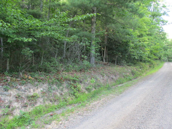 0 Higgs Road Northwest Willis, VA 24380 - Photo 4 of 17 IMG_0640