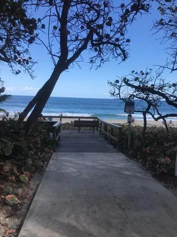 a view of a backyard with a tree
