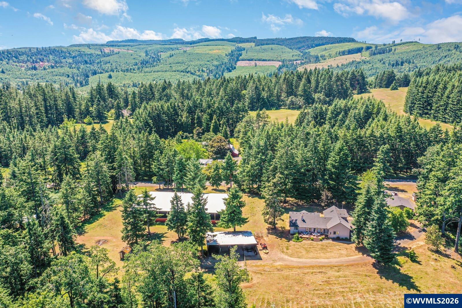 1110 Reuben Boise Road Dallas, OR 97338 - Photo 3 of 49 a view of a lake with a city