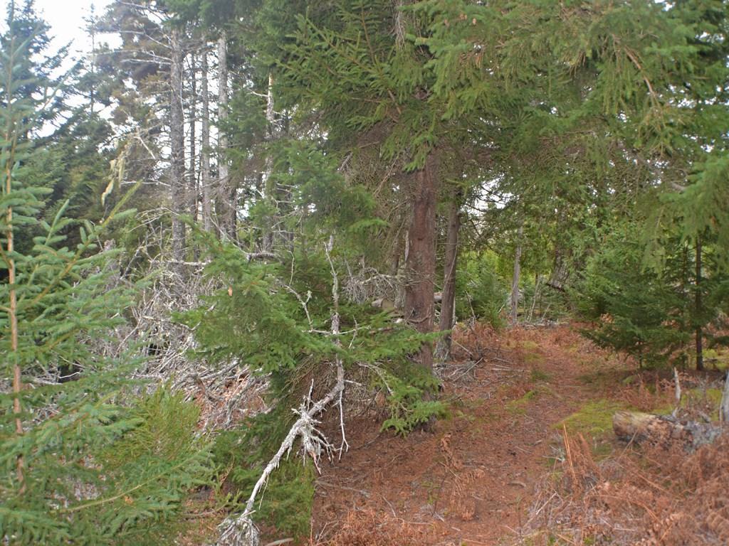 Map 4-lot Map 4-lot Main Rd Isle Stonington, ME 04681 - Photo 11 of 17 Photo