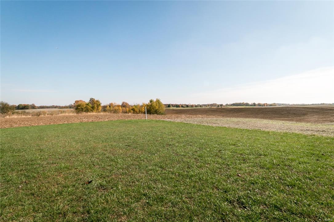 6060 Monarch Crossing Waterloo, IL 62298 - Photo 42 of 44