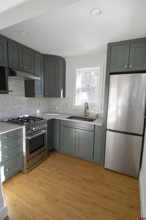 $1,600 | 1070 Greene Street, Unit D, Silverton, CO 81433
