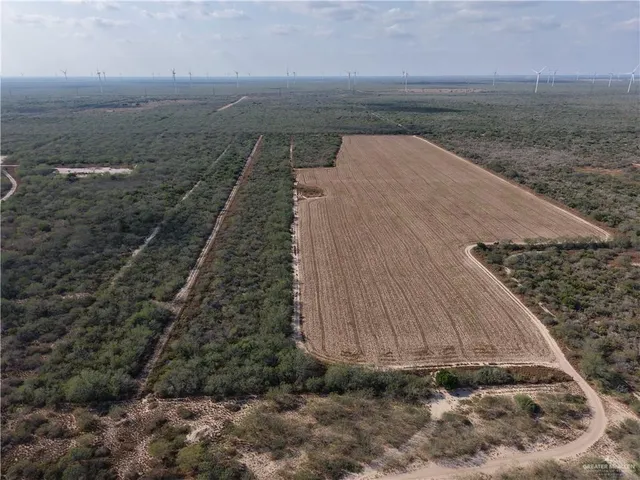 a view of a dry yard with wooden fence