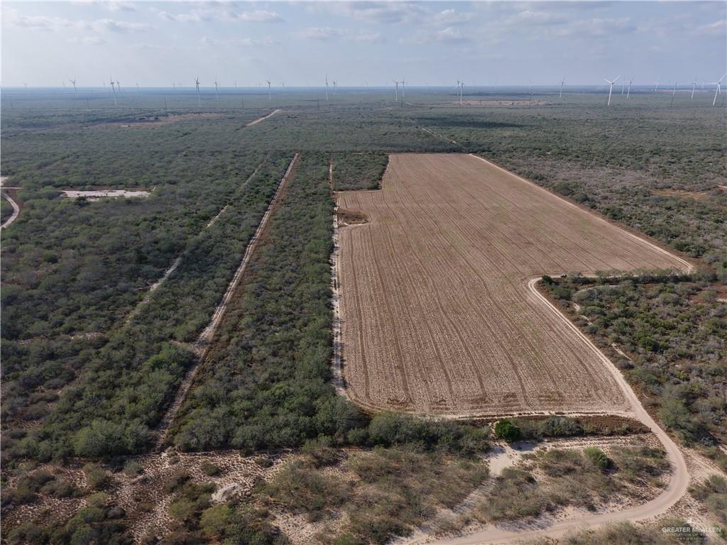 a view of a dry yard with wooden fence