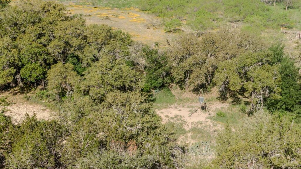 55-acres Fritz Road London, TX 76854 - Photo 3 of 38