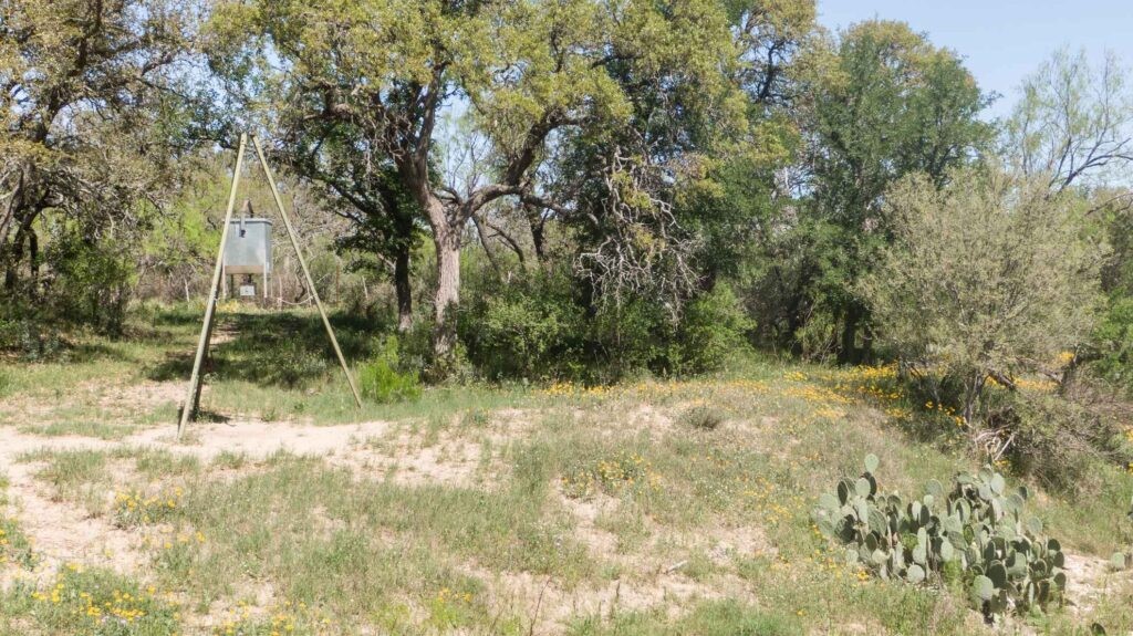 55-acres Fritz Road London, TX 76854 - Photo 4 of 38