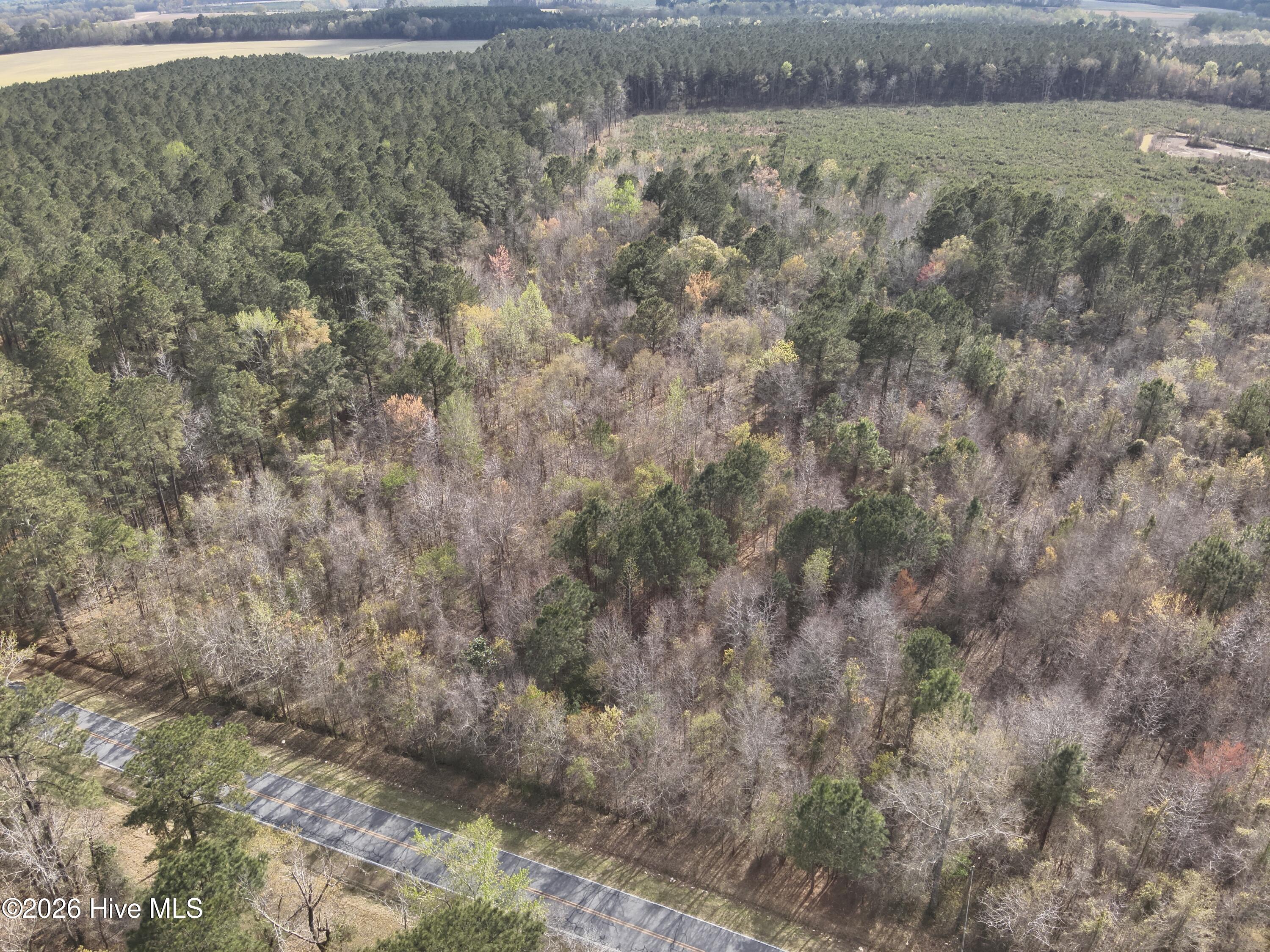 0 Skeeter Pond Road Grifton, NC 28530 - Photo 2 of 5 DJI_20260325150403_0006_V
