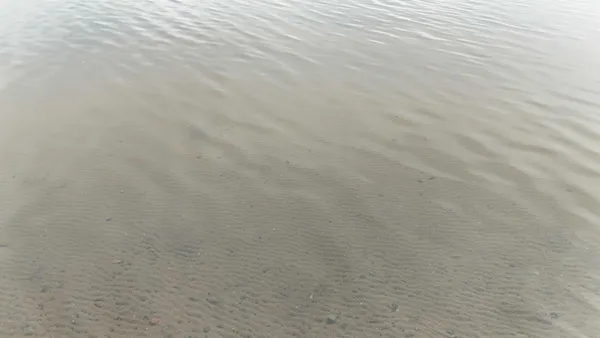 $500,000 | 27762 Leef Road, Webster, WI 54893