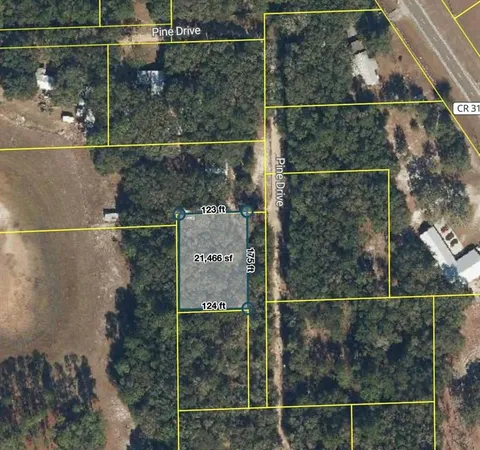 $9,500 | 181 Pine Drive, Interlachen, FL 32148