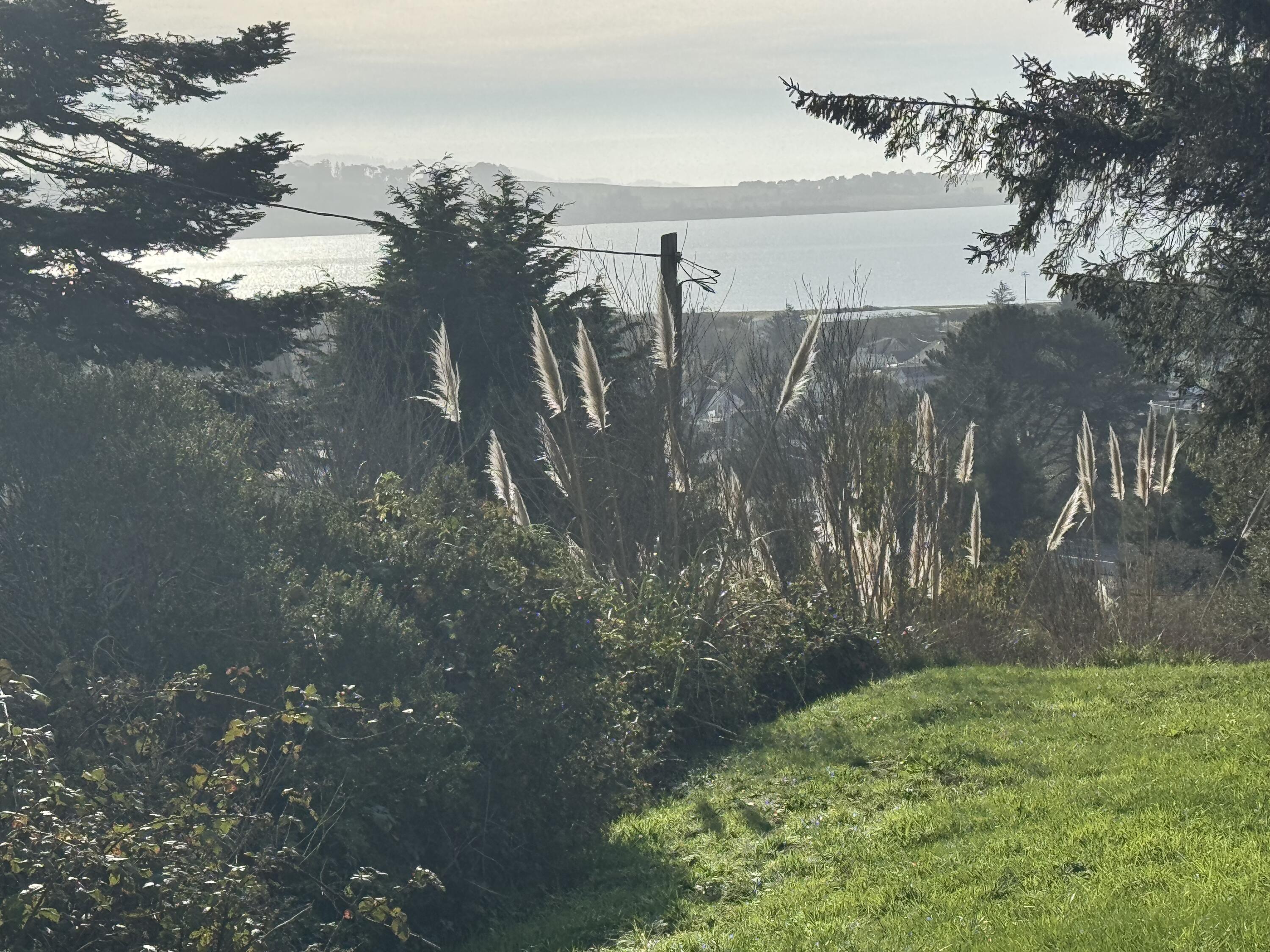 6498 Bell Terrace Road Eureka, CA 95503 - Photo 26 of 36
