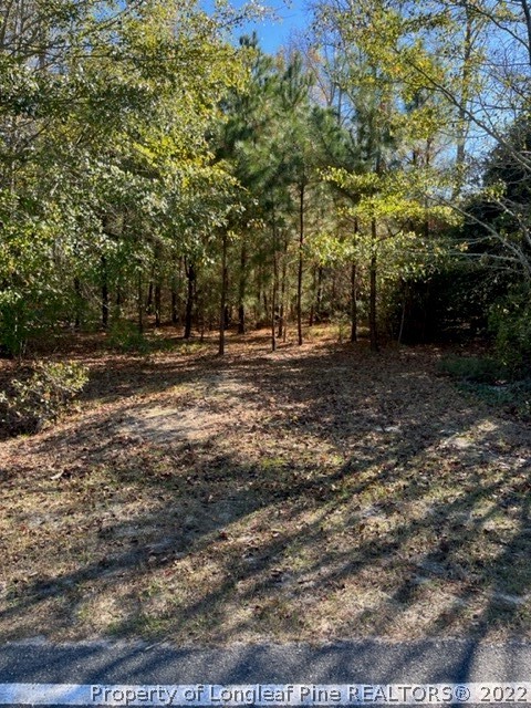 3134 Duck Pond Road Linden, NC 28356 - Photo 1 of 7 Gallery Image 1