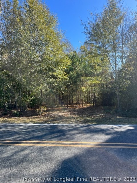 3134 Duck Pond Road Linden, NC 28356 - Photo 5 of 7 Gallery Image 5