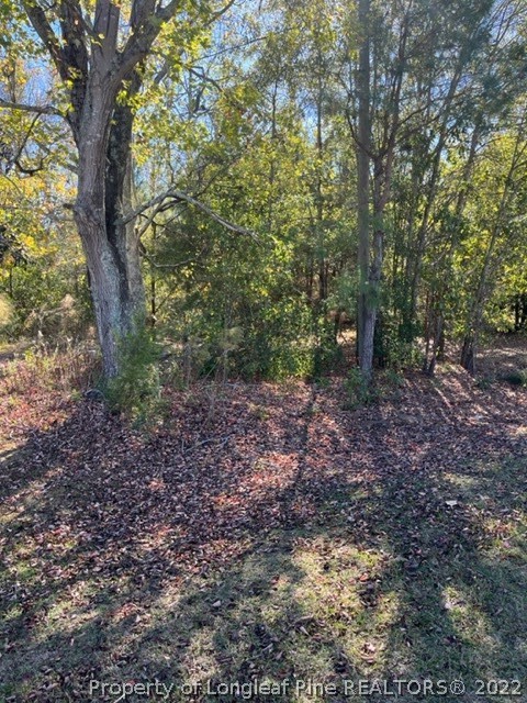 3134 Duck Pond Road Linden, NC 28356 - Photo 6 of 7 Gallery Image 6