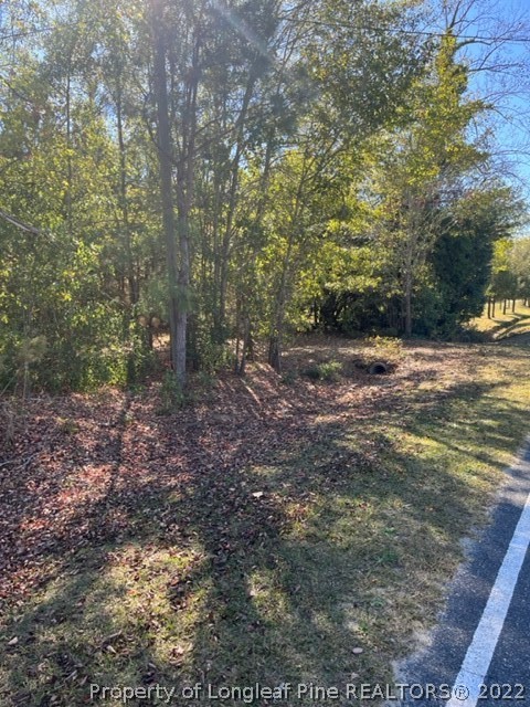 3134 Duck Pond Road Linden, NC 28356 - Photo 7 of 7 Gallery Image 7