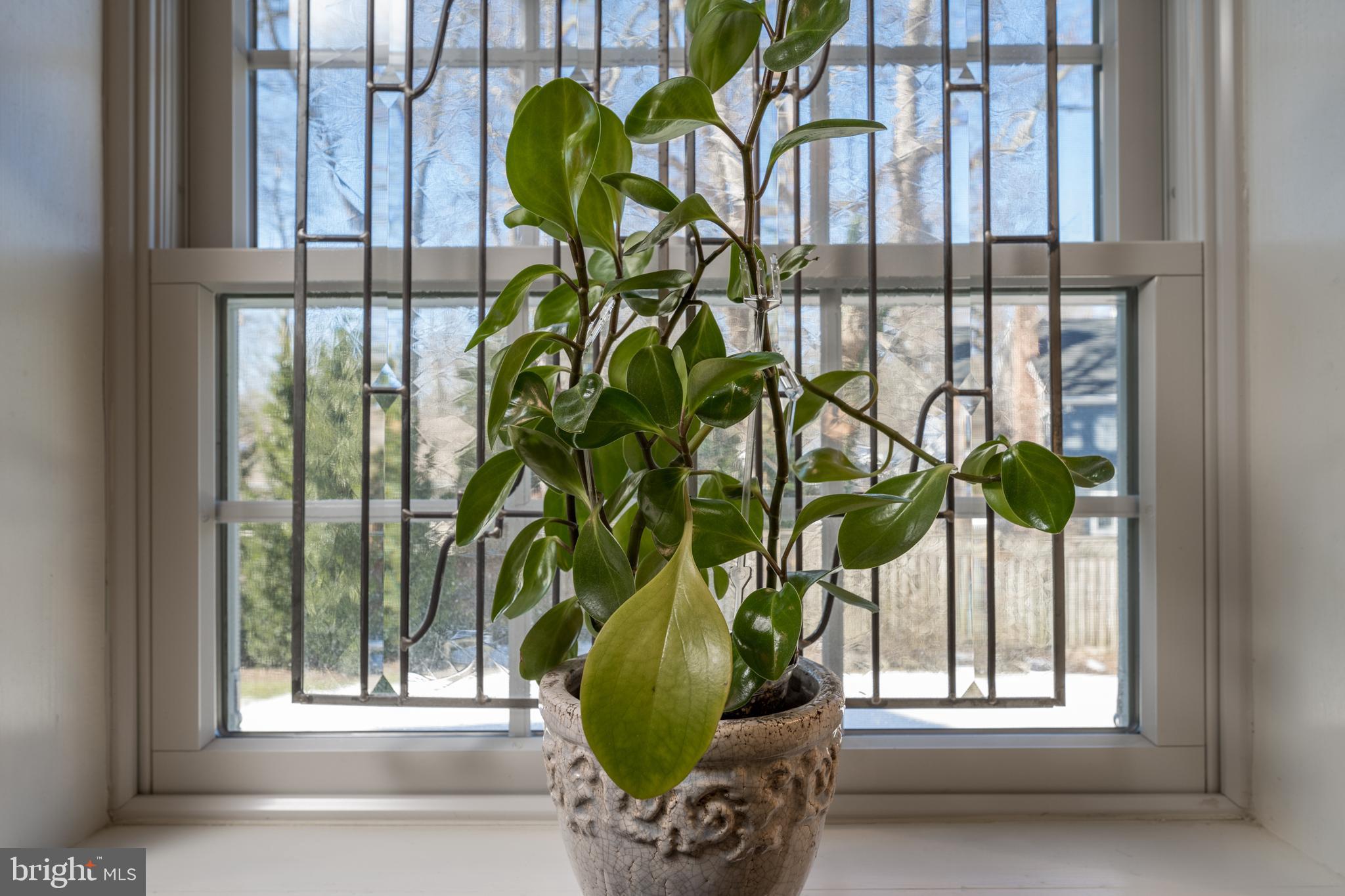 149 Blackpool Road Rehoboth Beach, DE 19971 - Photo 32 of 50