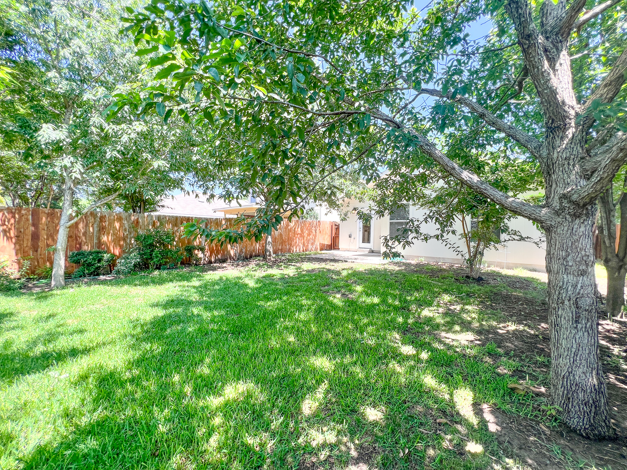 298 Jack Rabbit Lane Buda, TX 78610 - Photo 22 of 24 A verdant backyard offers a private, serene setting with mature trees and a sturdy privacy fence.