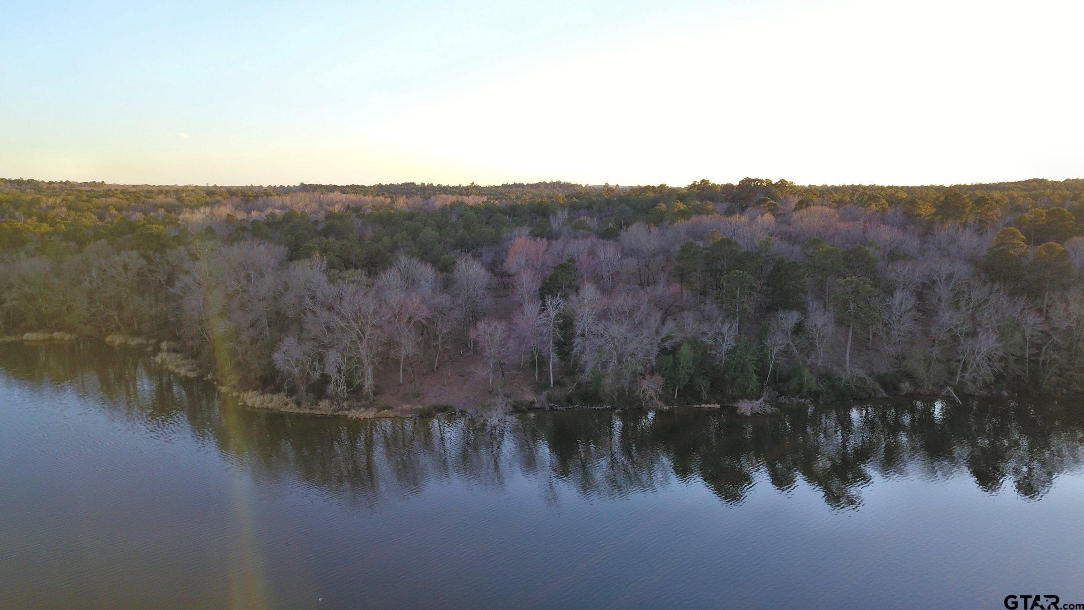 3266 Shadow Pine Drive Larue, TX 75770 - Photo 11 of 14