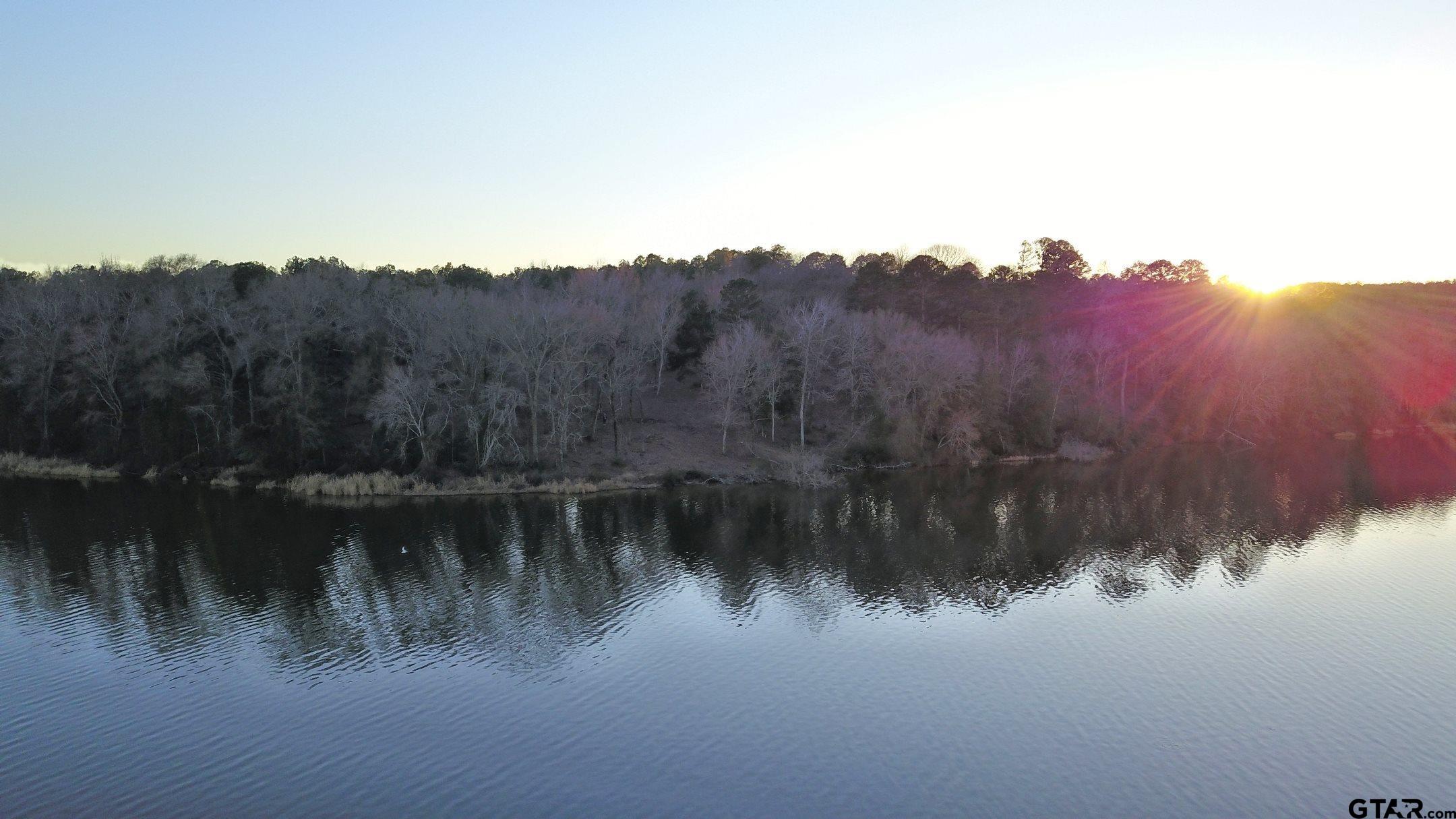 3266 Shadow Pine Drive Larue, TX 75770 - Photo 12 of 14