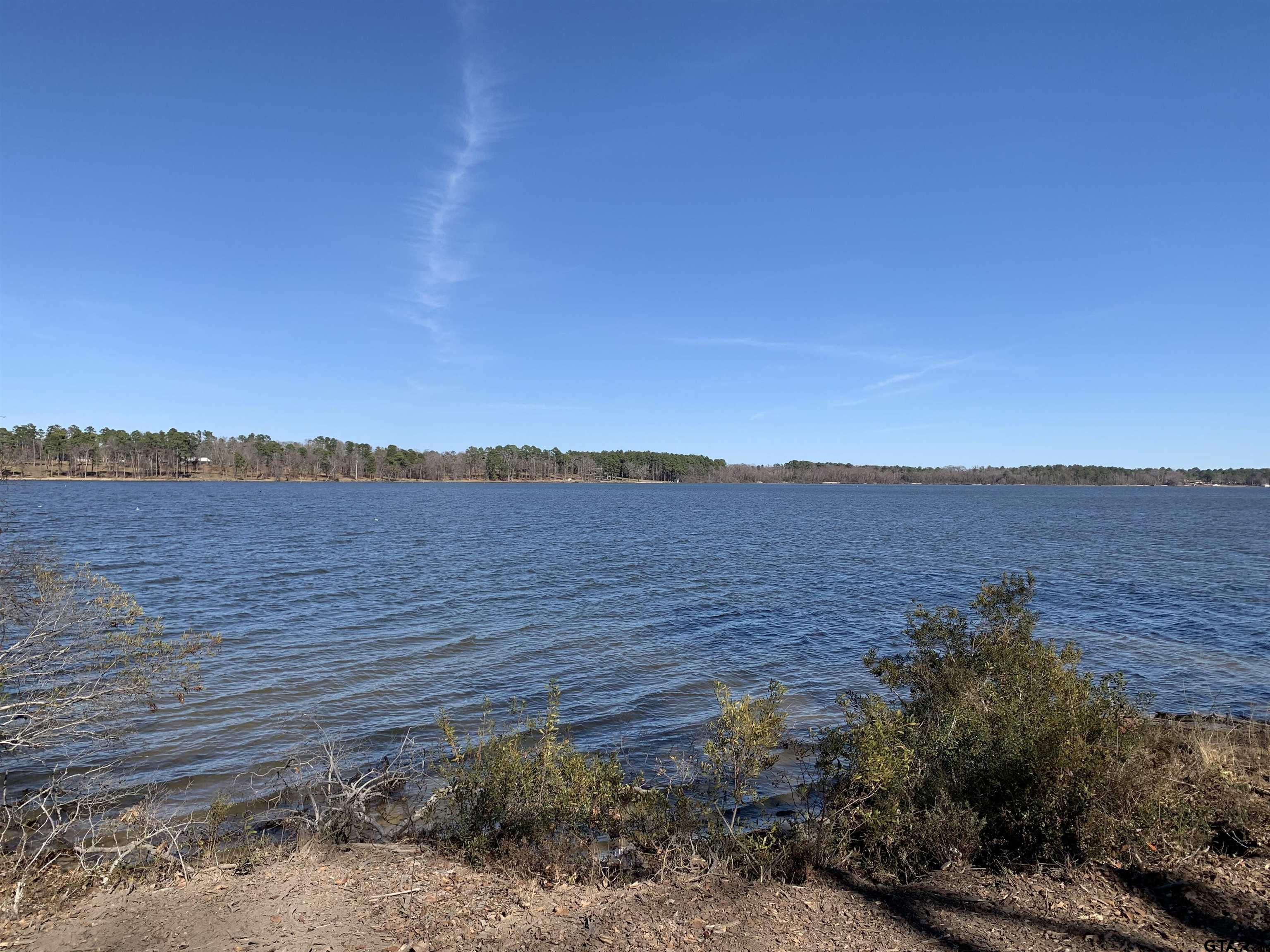 3266 Shadow Pine Drive Larue, TX 75770 - Photo 2 of 14