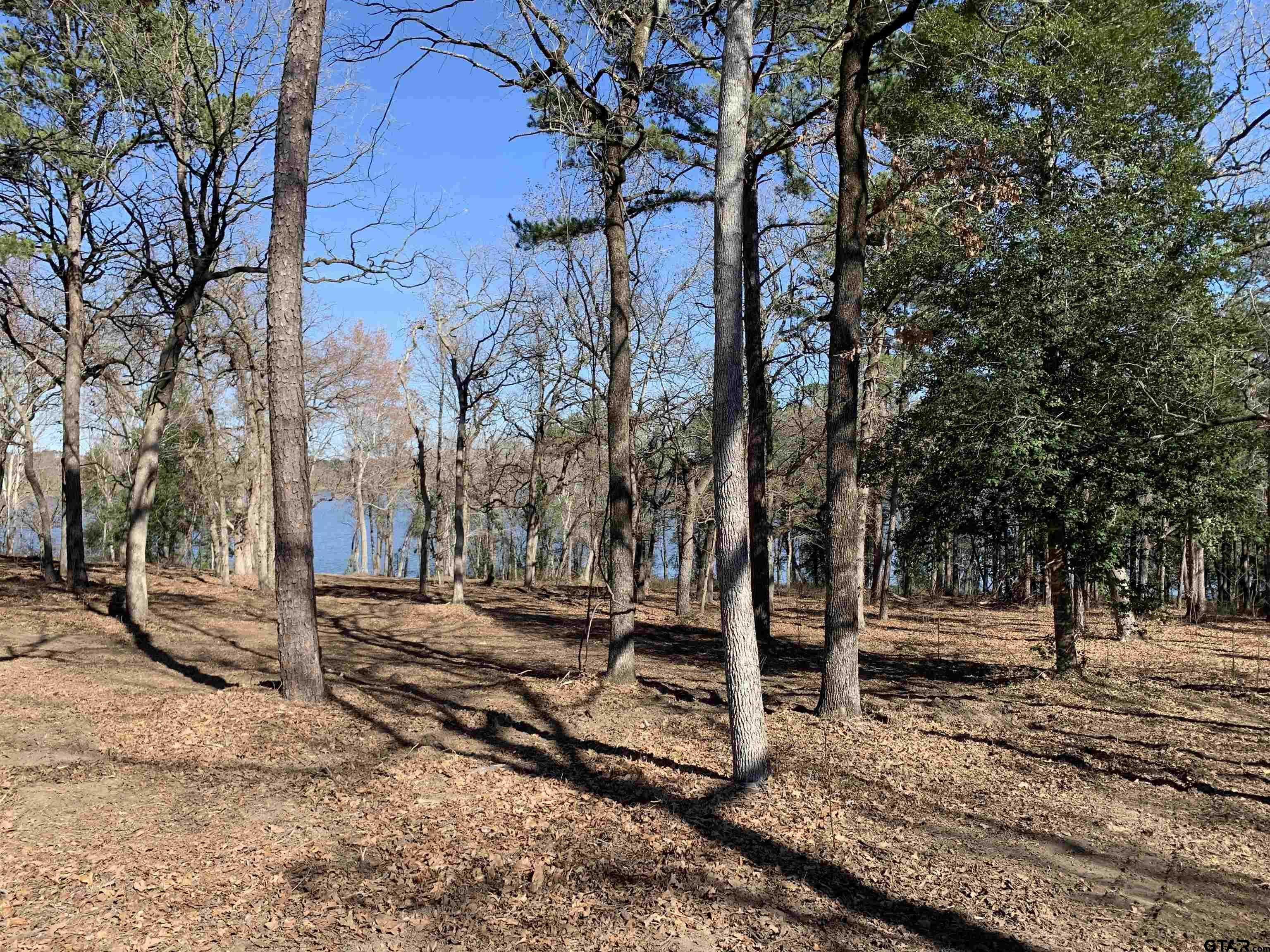 3266 Shadow Pine Drive Larue, TX 75770 - Photo 4 of 14