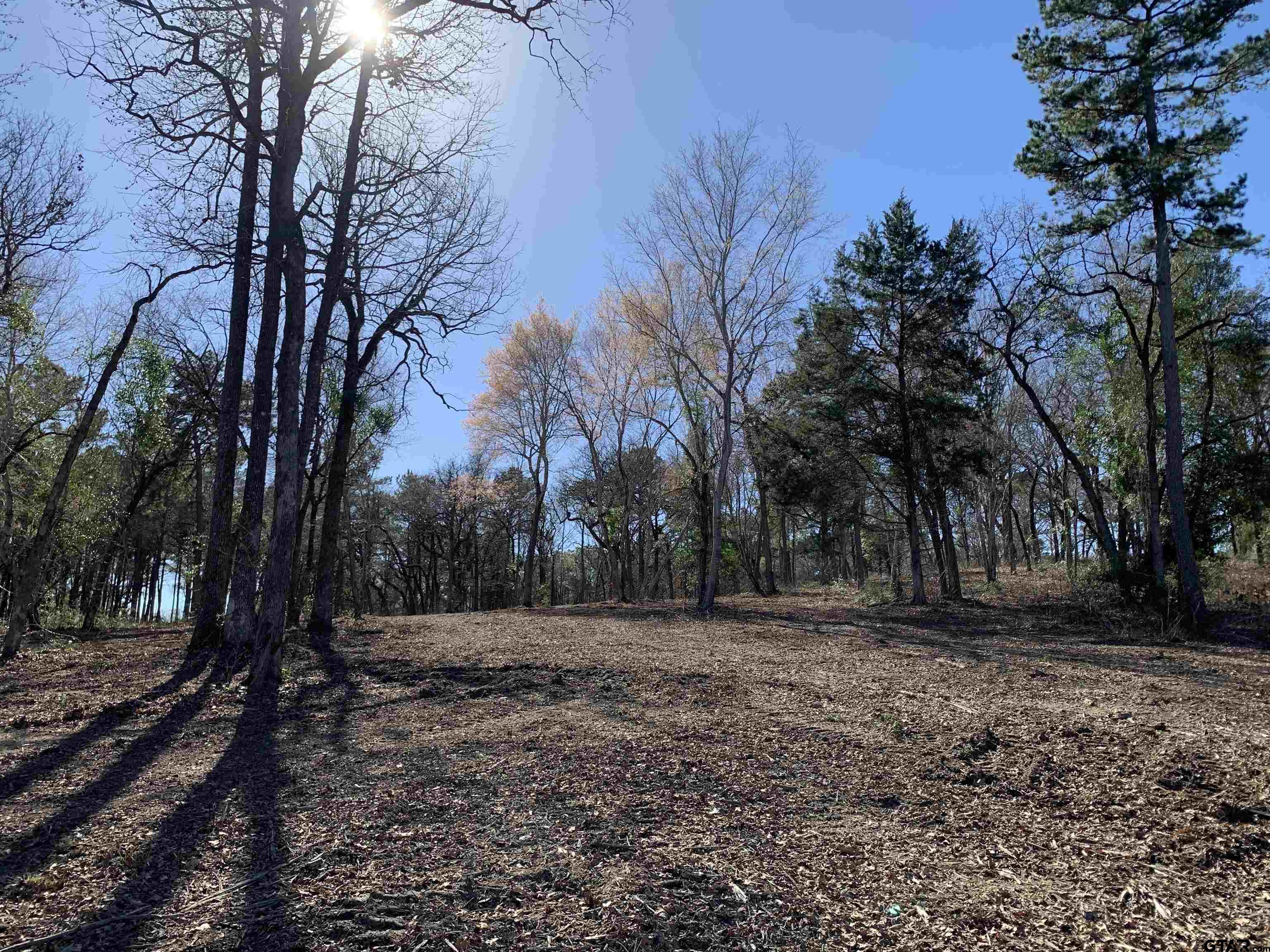 3266 Shadow Pine Drive Larue, TX 75770 - Photo 5 of 14