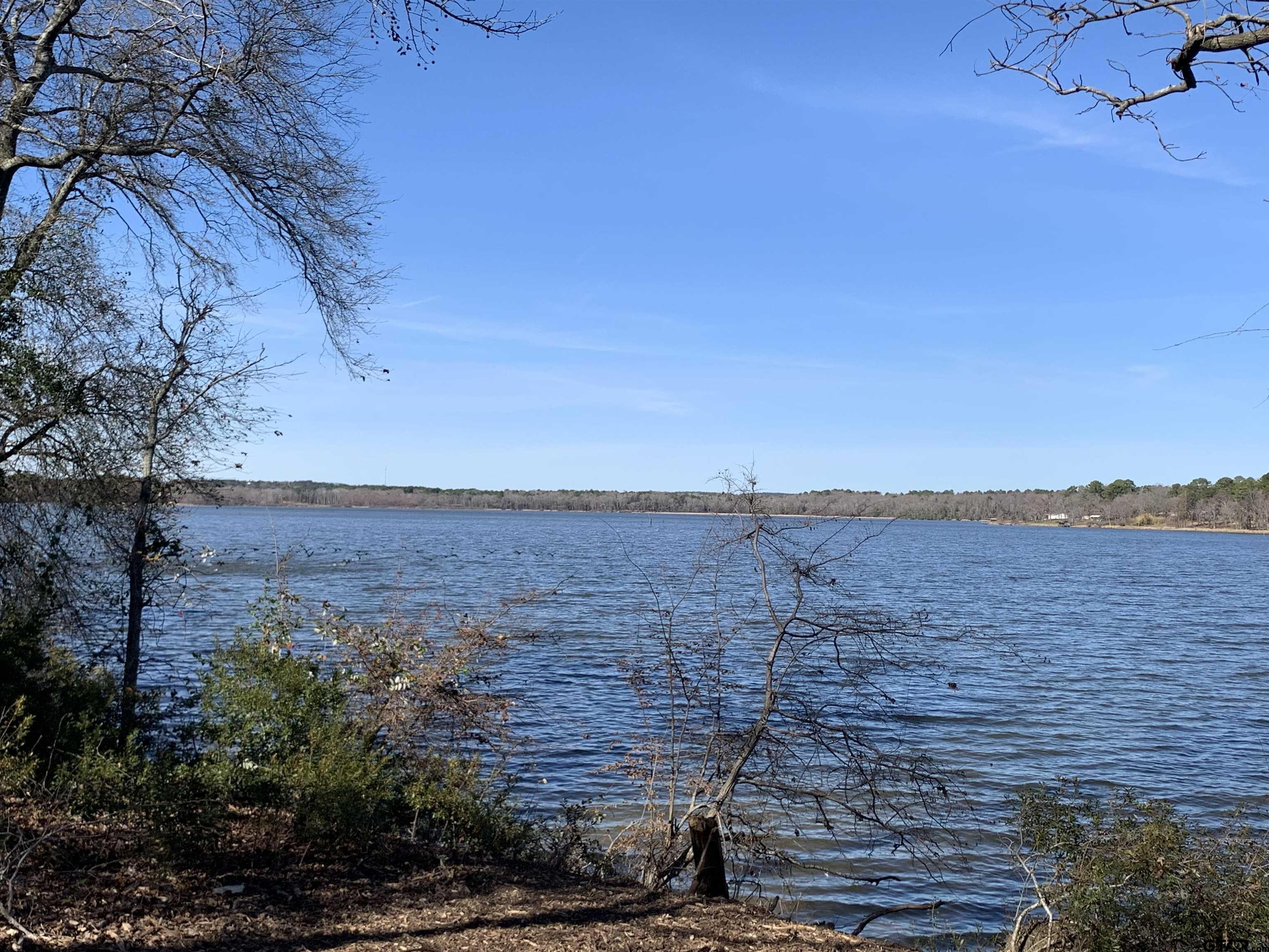 3266 Shadow Pine Drive Larue, TX 75770 - Photo 6 of 14