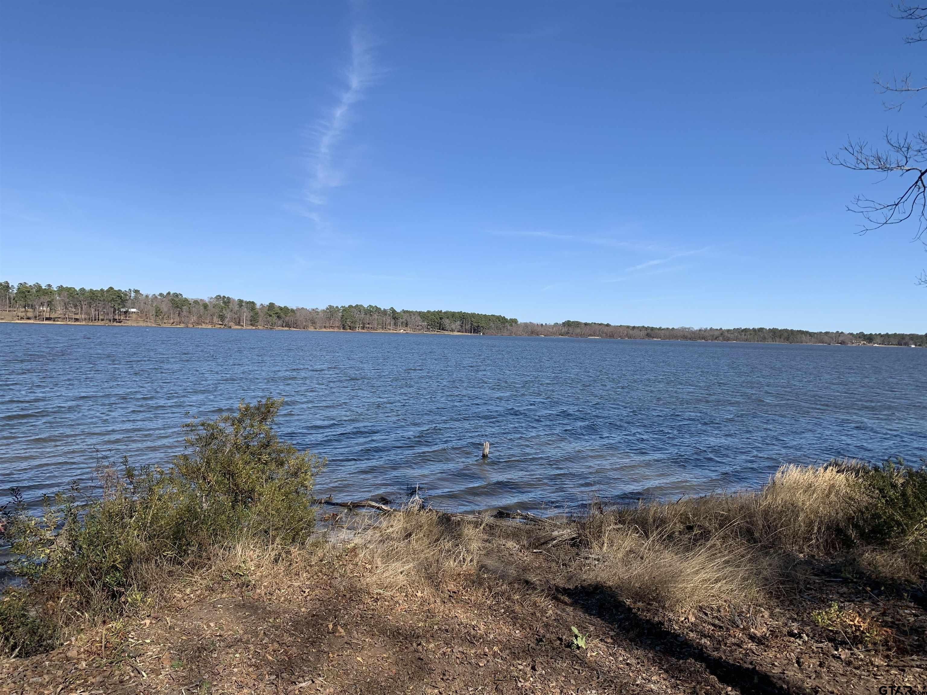 3266 Shadow Pine Drive Larue, TX 75770 - Photo 7 of 14