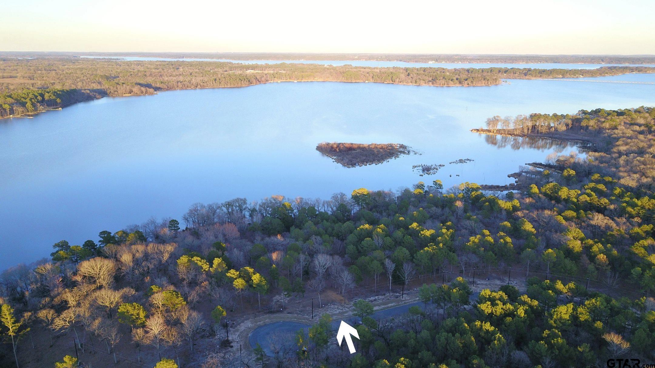 3266 Shadow Pine Drive Larue, TX 75770 - Photo 8 of 14