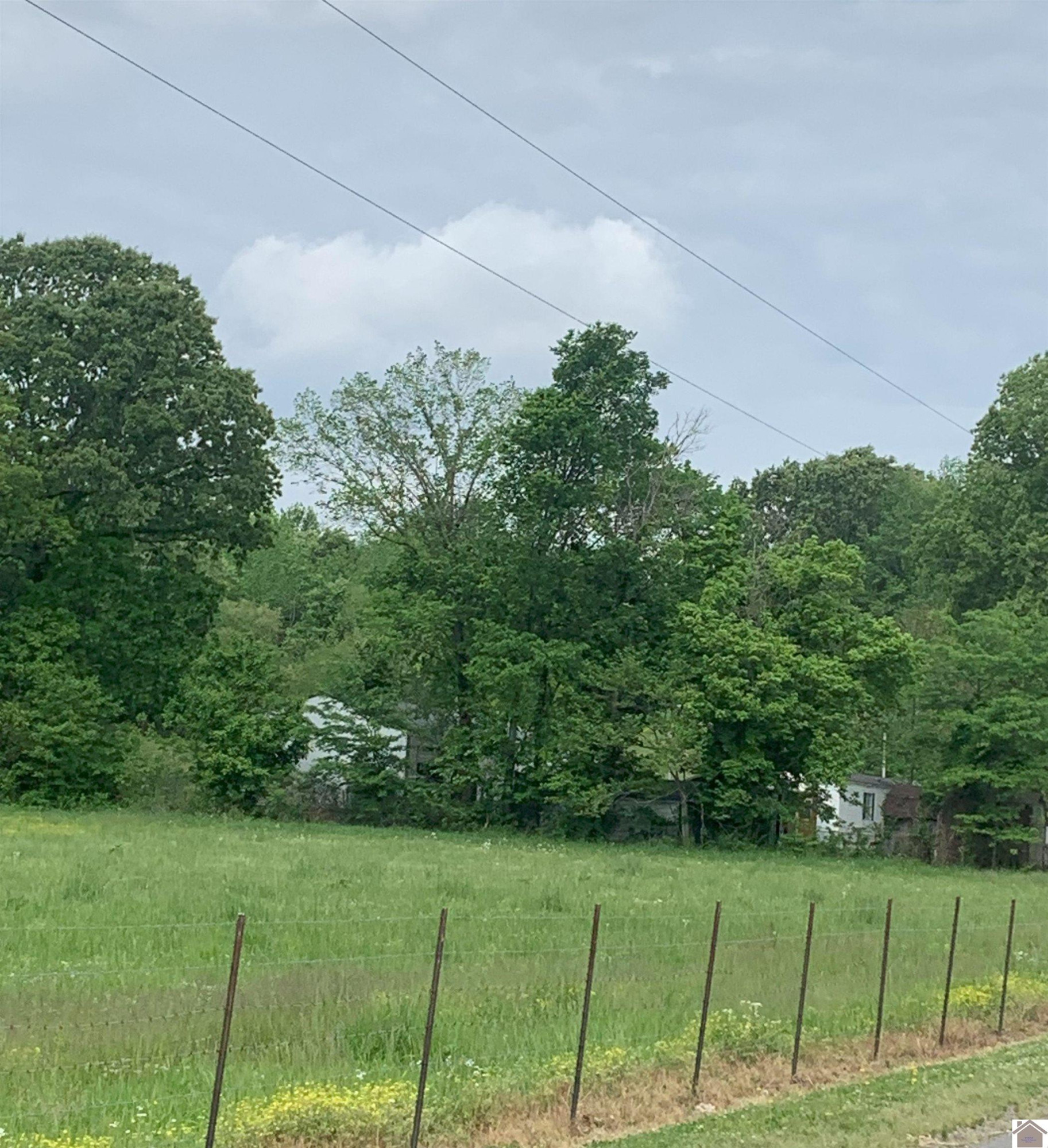0 Bethlehem Road Wickliffe, KY 42087 - Photo 1 of 4 Photo 1