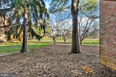 a view of outdoor space with deck and trees