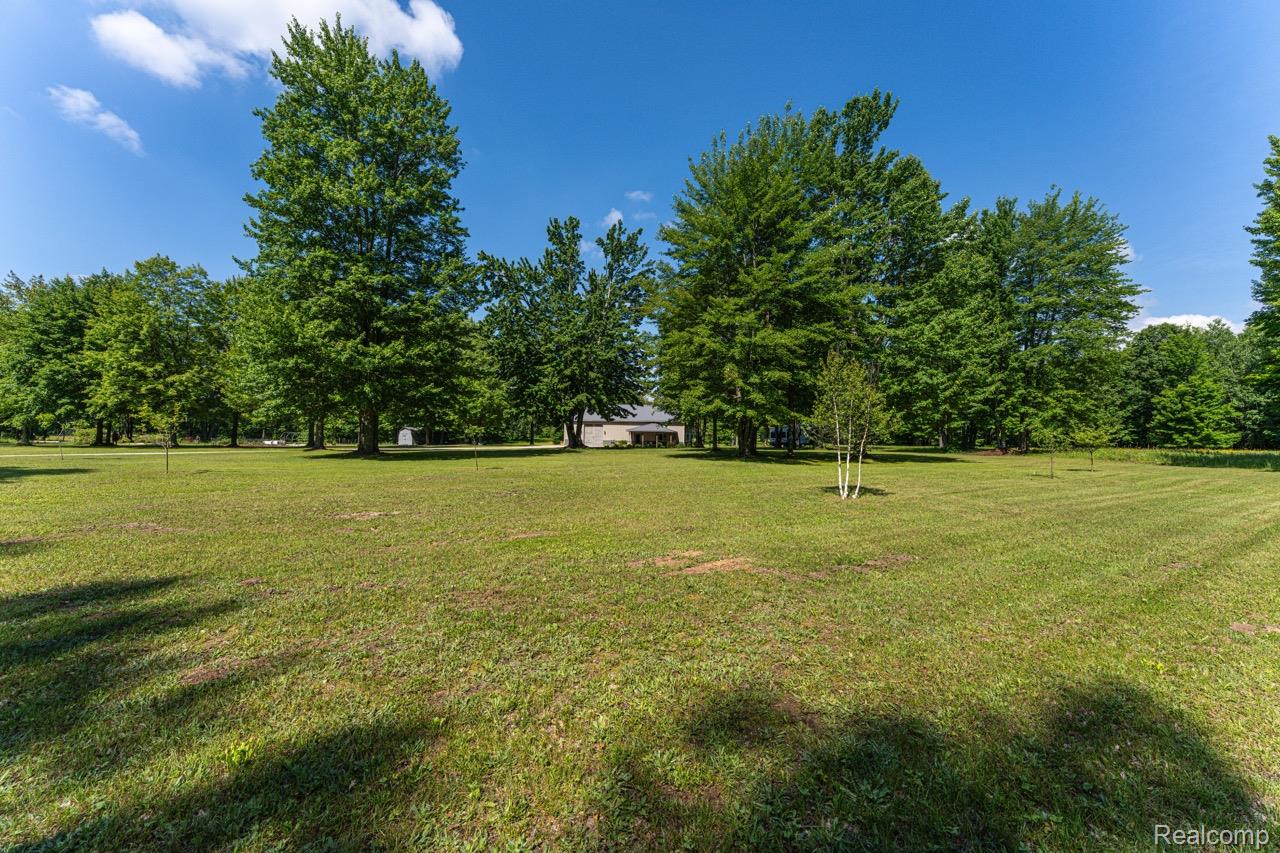 2418 South 41st Road South Cadillac, MI 49601 - Photo 56 of 57 Expansive green lawn surrounded by mature trees, featuring a distant single-story structure partially visible through the foliage