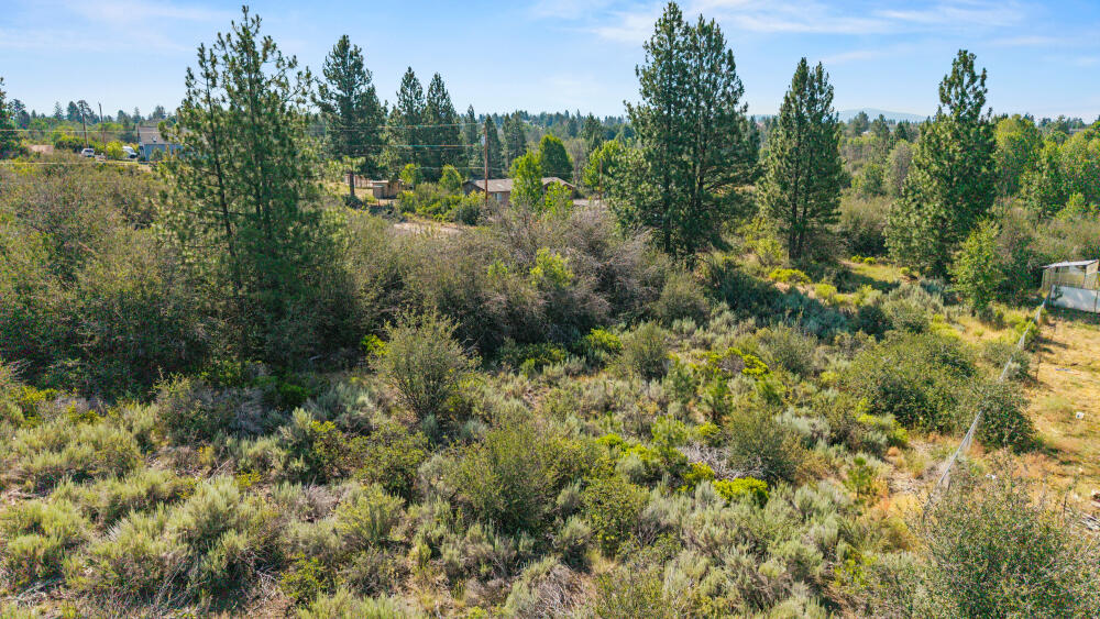 0 Lakeland Road Chiloquin, OR 97624 - Photo 15 of 19 a view of a forest with a houses