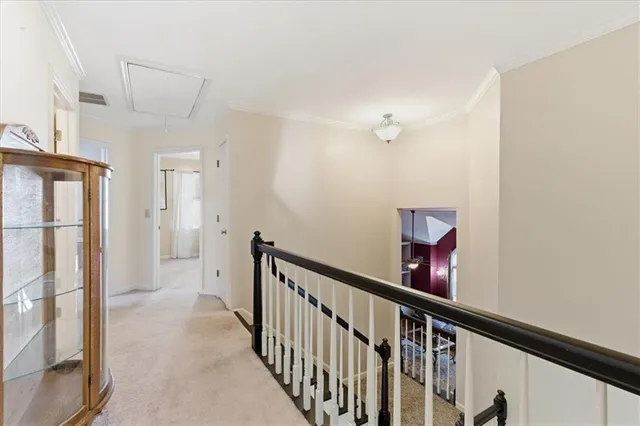 a projector room with a bed and a couch