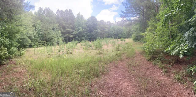 a view of a yard with a tree