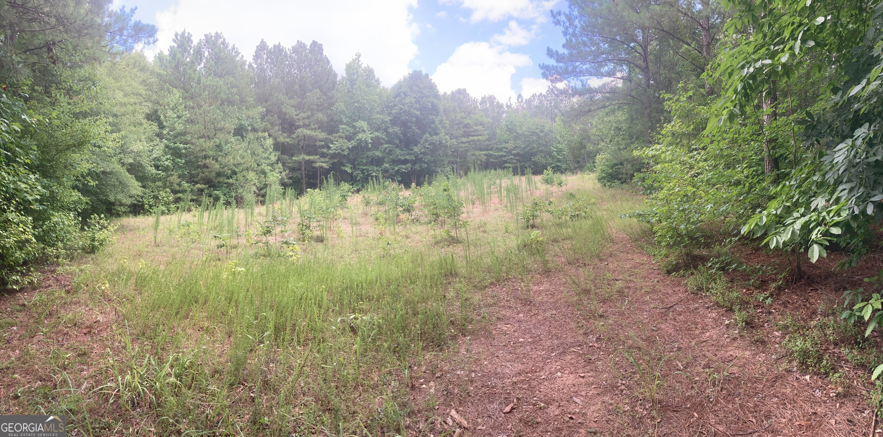 0 Rabbit Run McDonough, GA 30252 - Photo 2 of 8 a view of a yard with a tree