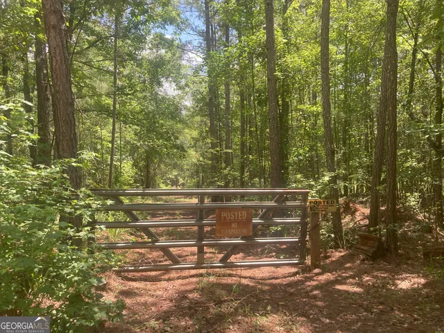 a view of a tree with a yard