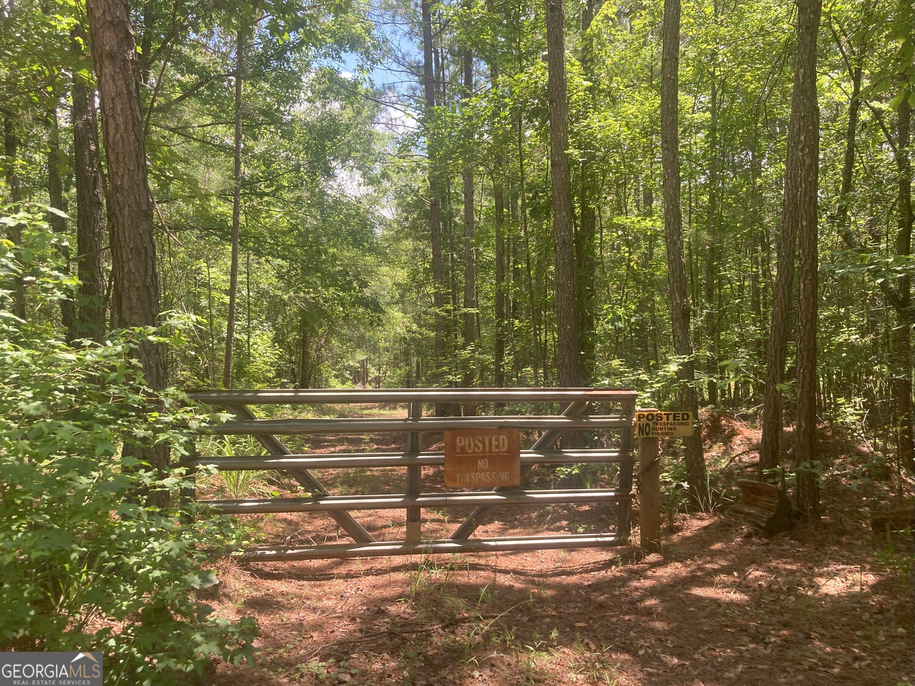 0 Rabbit Run McDonough, GA 30252 - Photo 4 of 8 a view of a tree with a yard