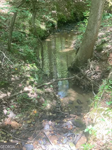 a view of a tree in a yard